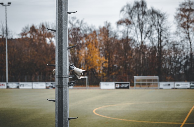 流量变留量，“票根+”撬动全域消费新活力